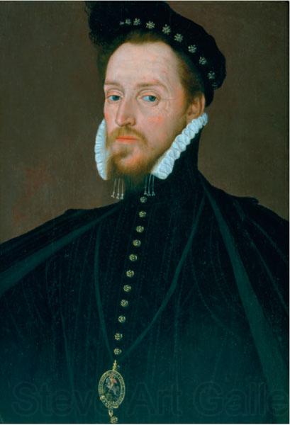 Steven van Herwijck Portrait of Henry Carey, 1st Baron Hunsdon Spain oil painting art